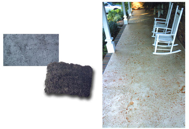 Coquina Texture Skin - 3' x 3'